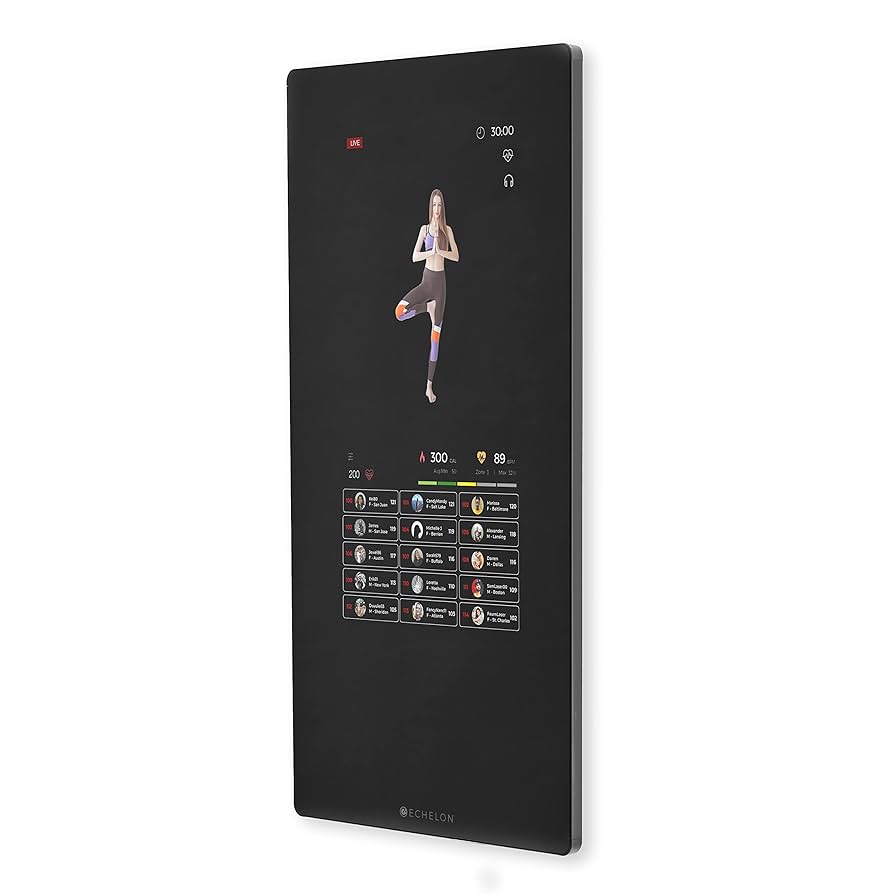 MIRROR FIT.  ミラーフィット　本体 Amazon.co.jp: MIRROR FIT.(ミラーフィット) 【サブスク2年間